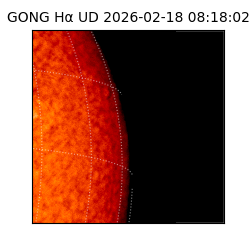 gong - 2026-02-18T08:18:02