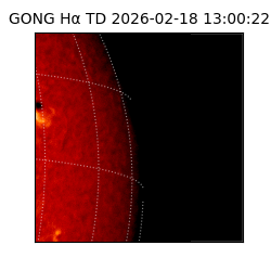 gong - 2026-02-18T13:00:22