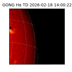 gong - 2026-02-18T14:00:22