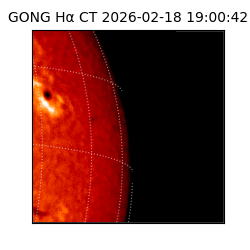 gong - 2026-02-18T19:00:42