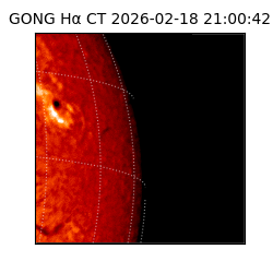 gong - 2026-02-18T21:00:42