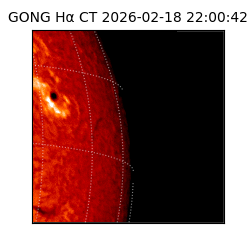 gong - 2026-02-18T22:00:42