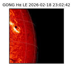 gong - 2026-02-18T23:02:42