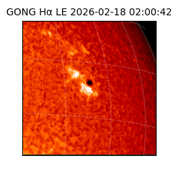 gong - 2026-02-18T02:00:42