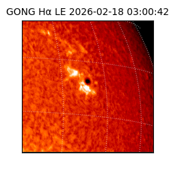 gong - 2026-02-18T03:00:42