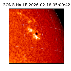 gong - 2026-02-18T05:00:42