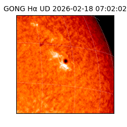 gong - 2026-02-18T07:02:02