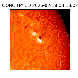 gong - 2026-02-18T08:18:02
