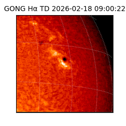 gong - 2026-02-18T09:00:22