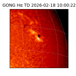gong - 2026-02-18T10:00:22