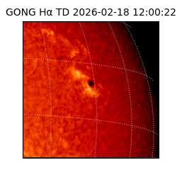 gong - 2026-02-18T12:00:22