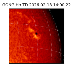 gong - 2026-02-18T14:00:22