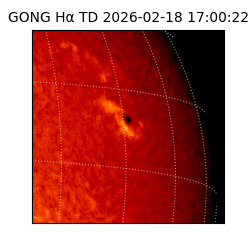 gong - 2026-02-18T17:00:22