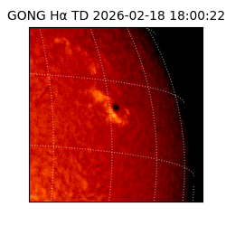 gong - 2026-02-18T18:00:22