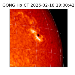 gong - 2026-02-18T19:00:42