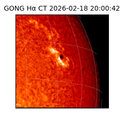 gong - 2026-02-18T20:00:42