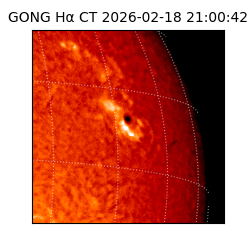 gong - 2026-02-18T21:00:42