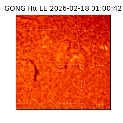 gong - 2026-02-18T01:00:42