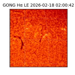 gong - 2026-02-18T02:00:42