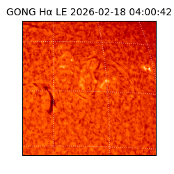 gong - 2026-02-18T04:00:42