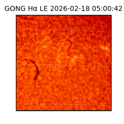 gong - 2026-02-18T05:00:42