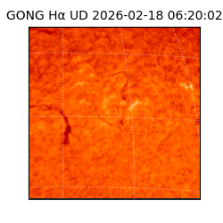 gong - 2026-02-18T06:20:02