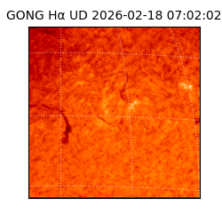 gong - 2026-02-18T07:02:02