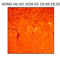 gong - 2026-02-18T08:18:02