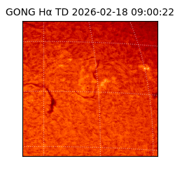 gong - 2026-02-18T09:00:22