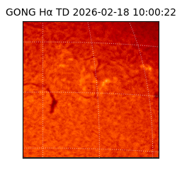 gong - 2026-02-18T10:00:22