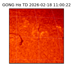 gong - 2026-02-18T11:00:22