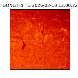 gong - 2026-02-18T12:00:22