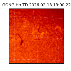 gong - 2026-02-18T13:00:22