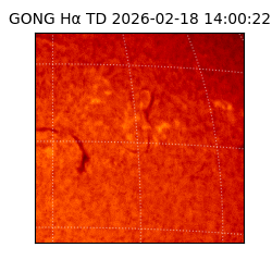 gong - 2026-02-18T14:00:22