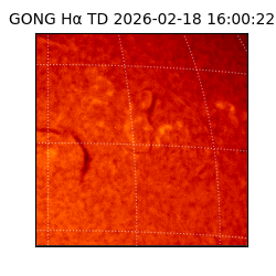 gong - 2026-02-18T16:00:22