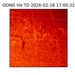 gong - 2026-02-18T17:00:22