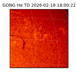 gong - 2026-02-18T18:00:22