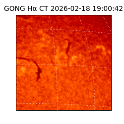 gong - 2026-02-18T19:00:42