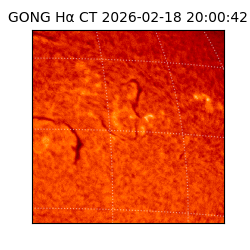 gong - 2026-02-18T20:00:42
