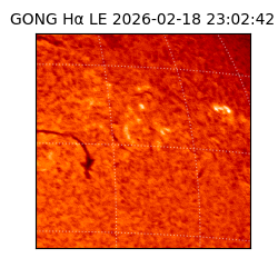 gong - 2026-02-18T23:02:42