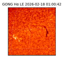 gong - 2026-02-18T01:00:42