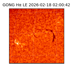 gong - 2026-02-18T02:00:42