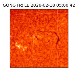 gong - 2026-02-18T05:00:42