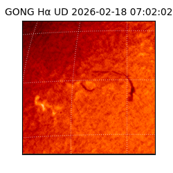 gong - 2026-02-18T07:02:02