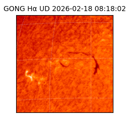 gong - 2026-02-18T08:18:02