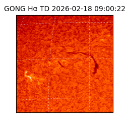 gong - 2026-02-18T09:00:22