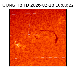 gong - 2026-02-18T10:00:22