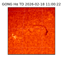 gong - 2026-02-18T11:00:22