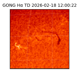 gong - 2026-02-18T12:00:22