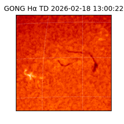 gong - 2026-02-18T13:00:22